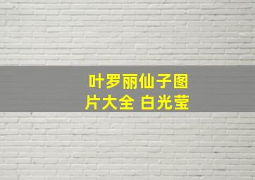 叶罗丽仙子图片大全 白光莹